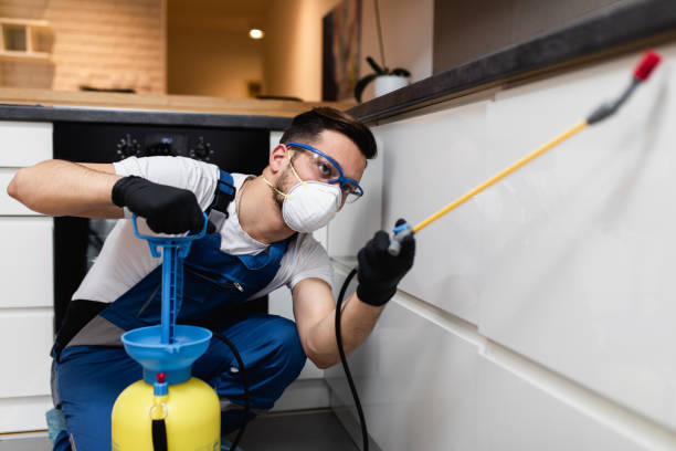 Best Pest Prevention Services  in Tontitown, AR