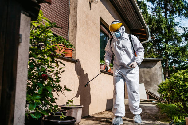 Best Pest Inspection Near Me  in Tontitown, AR