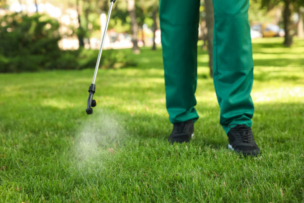 Best Best Pest Control Companies  in Tontitown, AR