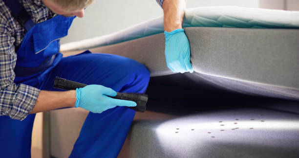 Flea Control Services in Tontitown, AR