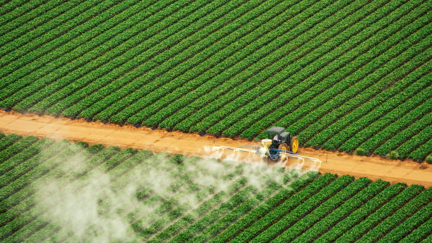 Best Mosquito Control Services  in Tontitown, AR
