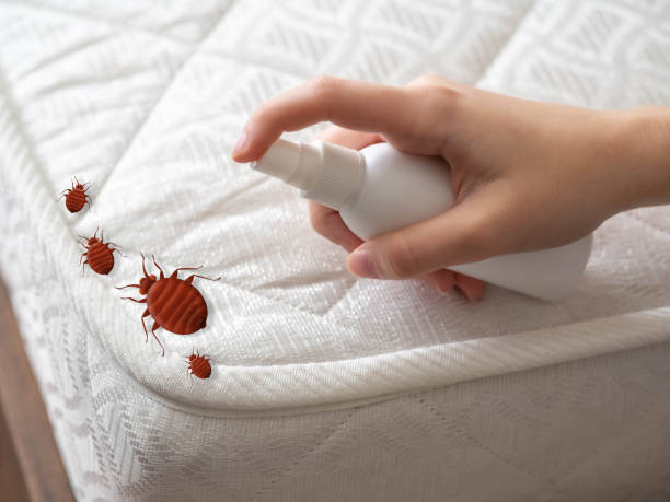 Best Pest Removal Services  in Tontitown, AR