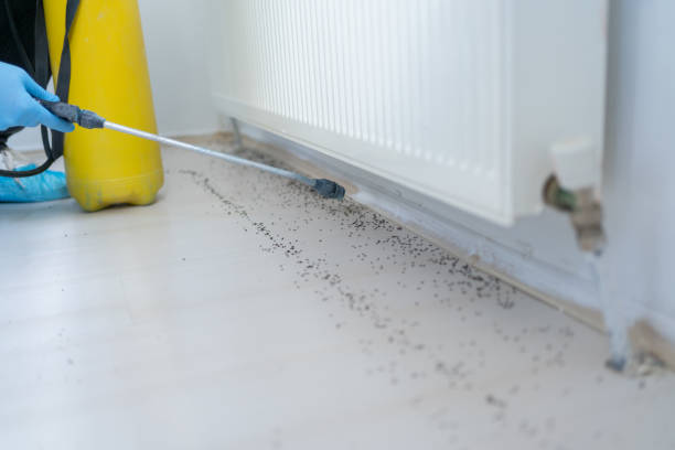 Best Residential Pest Control  in Tontitown, AR
