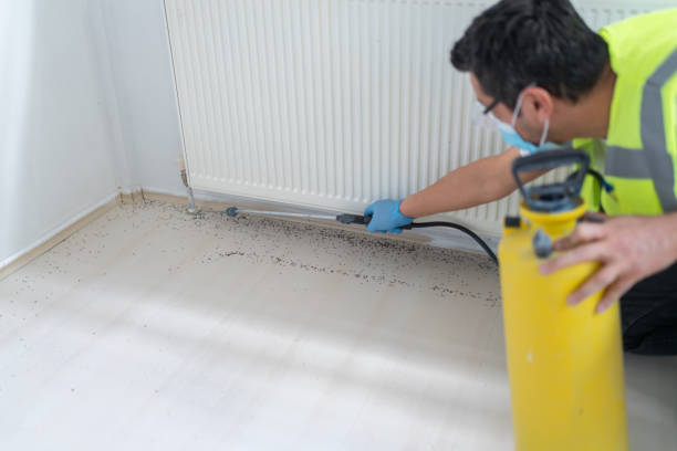Best Termite Control Services  in Tontitown, AR